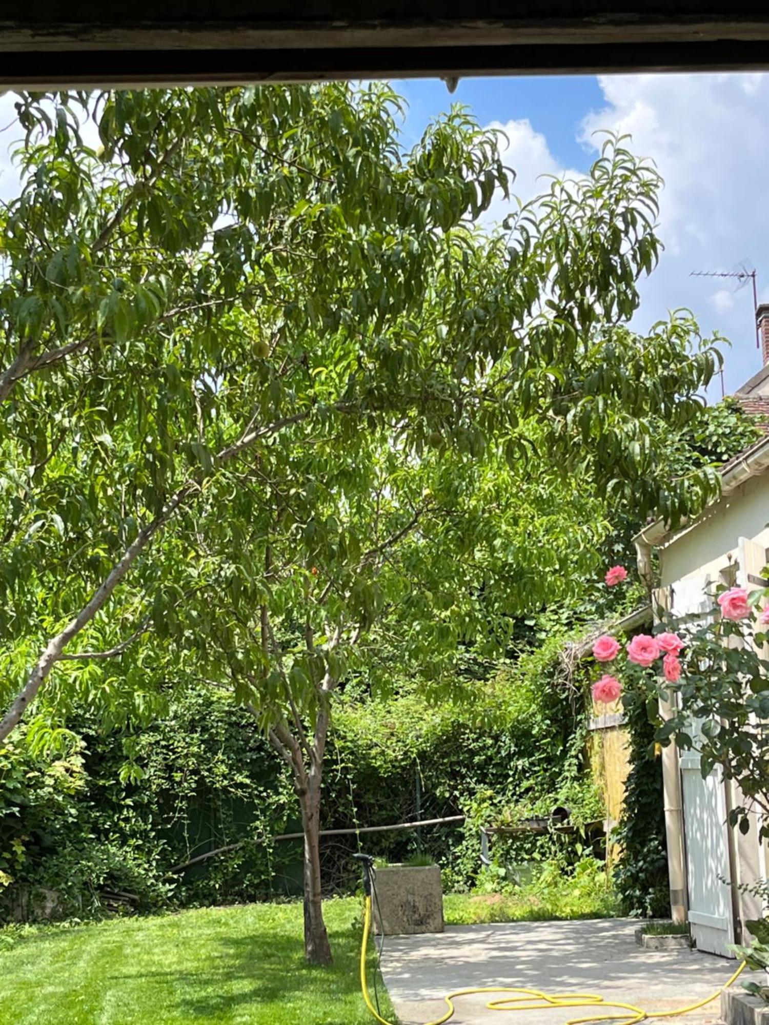 Endroit Charmant Coulommiers Dış mekan fotoğraf
